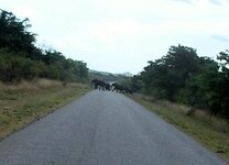 PH000360 (1).jpg