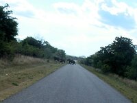PH000361 (1).jpg