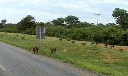 PH000378 (1).jpg