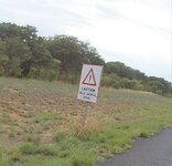 PH000397 (1).jpg