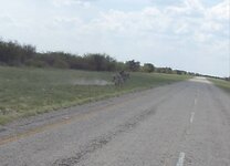 PH000890.jpg