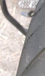 7E1F7058-2E3C-44CF-BBE0-0E327C017034.jpeg