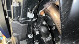 IMG_7603.jpg