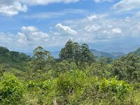 36A27D79-63DA-4659-B3F8-417739B37108.jpeg