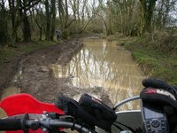 DSCN0001 puddle.JPG