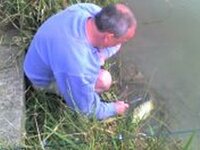 carp.jpg