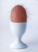 EGG.JPG