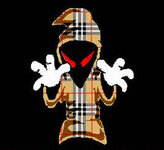 Burberry Avator ..jpg