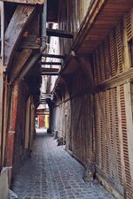 ruelle-des-chats.jpg