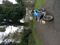 IMG_20230217_125450.jpg