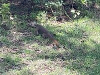 B754D321-703D-43A3-8560-F48113F836AD.jpeg