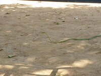 85442B3B-E8F0-4090-90D9-FA1947E5EAF4.jpg
