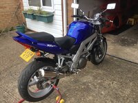 IMG_1033.jpeg