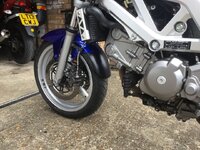 IMG_1035.jpeg