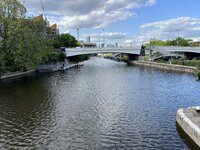 IMG_2104.jpeg