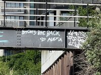 IMG_2118.jpeg