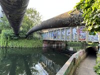 IMG_2128.jpeg