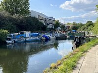 IMG_2124.jpeg