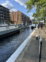 IMG_2137.jpeg