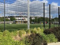 IMG_2140.jpeg