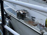 IMG_2146.jpeg