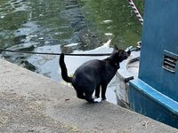 IMG_2149.jpeg