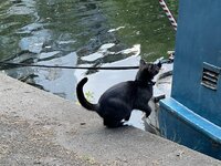IMG_2150.jpeg