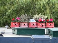 IMG_2152.jpeg