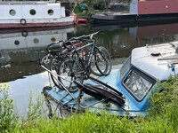 IMG_2157.jpeg