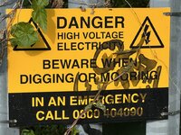 IMG_2158.jpeg