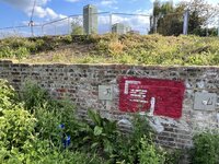 IMG_2166.jpeg