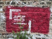 IMG_2165.jpeg