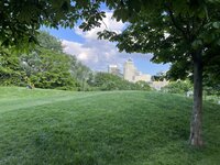 IMG_2177.jpeg
