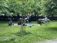 IMG_2178.jpeg