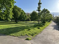 IMG_2195.jpeg