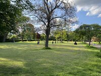 IMG_2197.jpeg