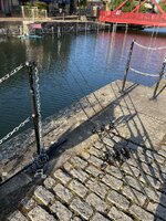 IMG_2204.jpeg