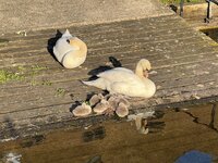 IMG_2206.jpeg