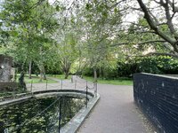 IMG_2210.jpeg