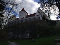 IMG_20230425_080738.jpg