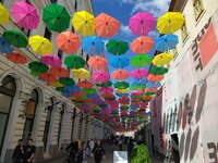 1 timisoara street.jpg