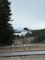 IMG_4128.jpeg IMG_4128.jpeg