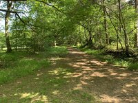 IMG_2398.jpeg
