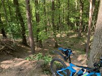 IMG_2401.jpeg