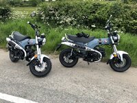 IMG_9186.jpeg