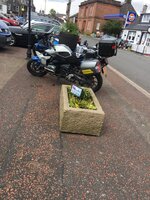 IMG_1993.jpeg