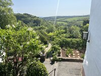 IMG_2333.jpeg