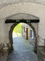 IMG_2339.jpeg