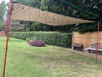IMG_2419.jpeg