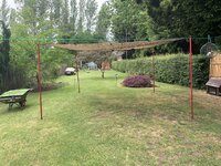 IMG_2418.jpeg